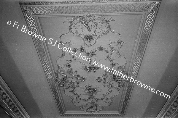 ARAS AN UACHTARAIN AESOP ROOM CEILING